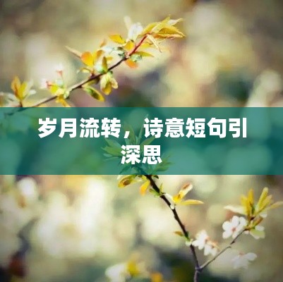 岁月流转，诗意短句引深思