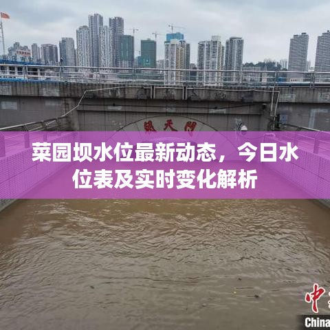 菜园坝水位最新动态，今日水位表及实时变化解析