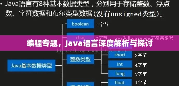 编程专题，Java语言深度解析与探讨