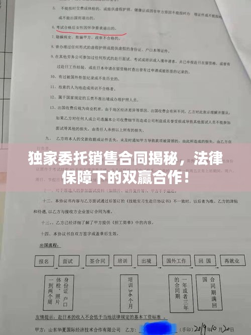 独家委托销售合同揭秘，法律保障下的双赢合作！