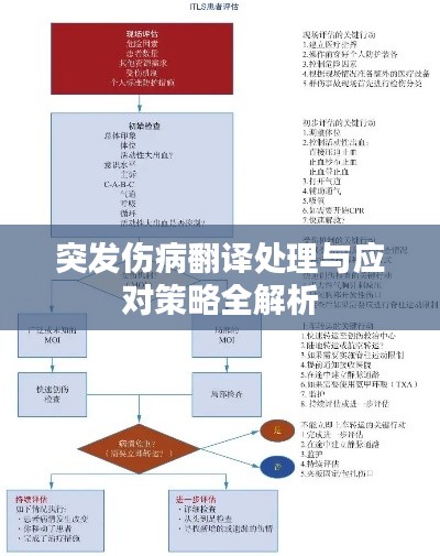 突发伤病翻译处理与应对策略全解析