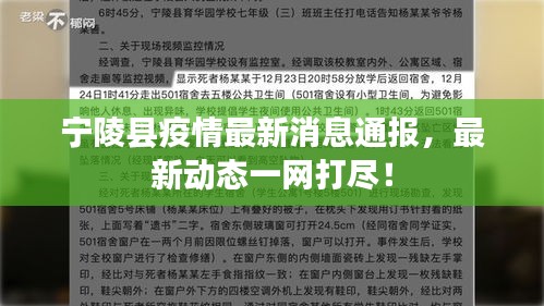 宁陵县疫情最新消息通报，最新动态一网打尽！