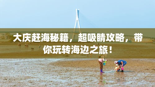 大庆赶海秘籍，超吸睛攻略，带你玩转海边之旅！