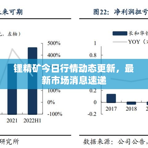 锂精矿今日行情动态更新，最新市场消息速递