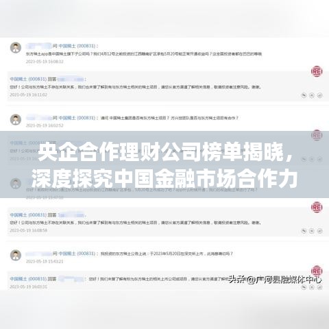 央企合作理财公司榜单揭晓，深度探究中国金融市场合作力量