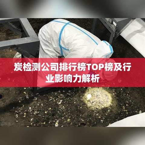 炭检测公司排行榜TOP榜及行业影响力解析