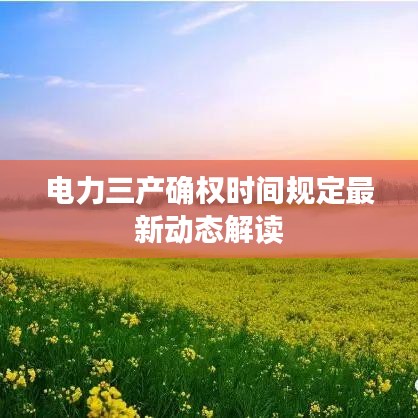 电力三产确权时间规定最新动态解读