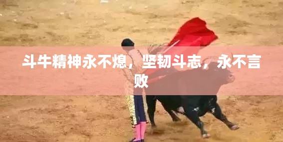 斗牛精神永不熄，坚韧斗志，永不言败