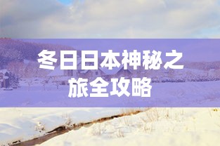 2025年1月26日 第7页