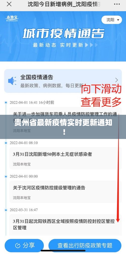 贵州省最新疫情实时更新通知！