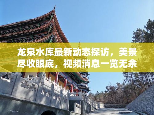 龙泉水库最新动态探访，美景尽收眼底，视频消息一览无余