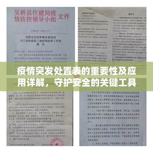 疫情突发处置表的重要性及应用详解，守护安全的关键工具