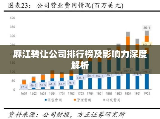 麻江转让公司排行榜及影响力深度解析