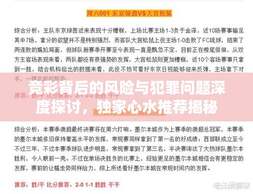 竞彩背后的风险与犯罪问题深度探讨，独家心水推荐揭秘