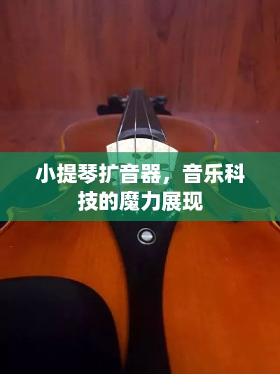 小提琴扩音器，音乐科技的魔力展现