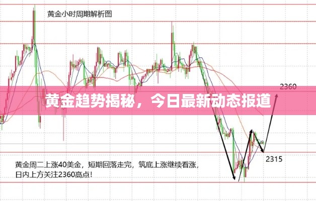 黄金趋势揭秘，今日最新动态报道