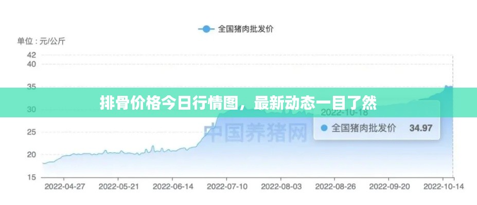 排骨价格今日行情图，最新动态一目了然