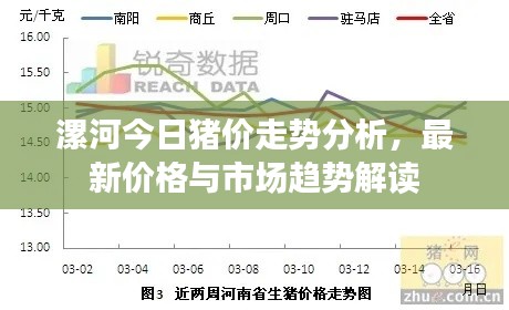 漯河今日猪价走势分析，最新价格与市场趋势解读