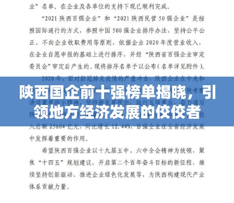 陕西国企前十强榜单揭晓，引领地方经济发展的佼佼者