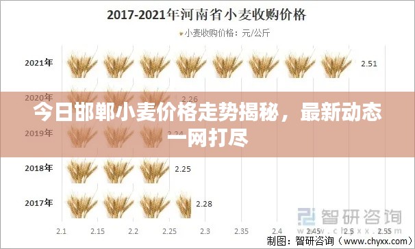 今日邯郸小麦价格走势揭秘，最新动态一网打尽