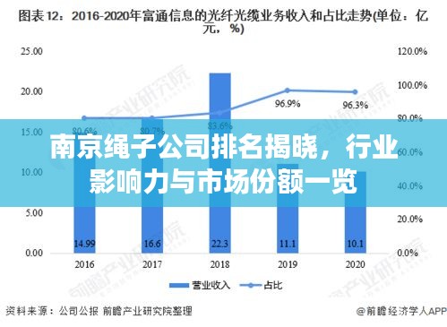 南京绳子公司排名揭晓，行业影响力与市场份额一览