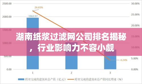 湖南纸浆过滤网公司排名揭秘，行业影响力不容小觑