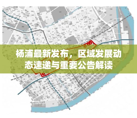 杨浦最新发布，区域发展动态速递与重要公告解读