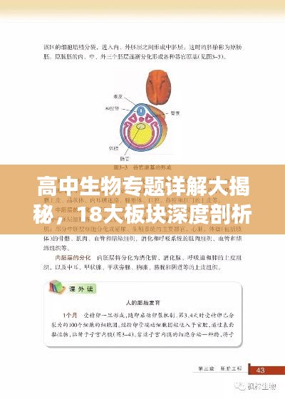 高中生物专题详解大揭秘，18大板块深度剖析