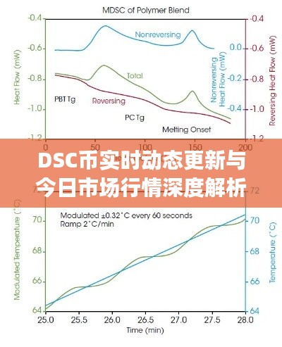 DSC币实时动态更新与今日市场行情深度解析