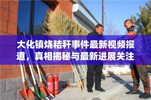 大化镇烧秸秆事件最新视频报道，真相揭秘与最新进展关注