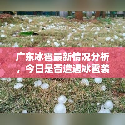 广东冰雹最新情况分析，今日是否遭遇冰雹袭击？