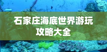 石家庄海底世界游玩攻略大全