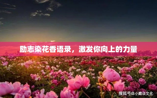 励志染花香语录，激发你向上的力量