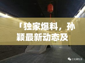 「独家爆料，孙颖最新动态及消息速递」