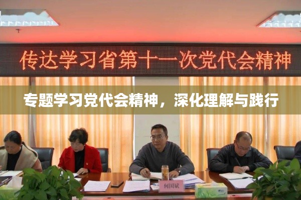 专题学习党代会精神，深化理解与践行