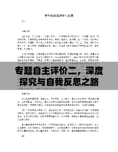 专题自主评价二，深度探究与自我反思之路