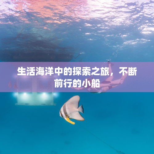 生活海洋中的探索之旅，不断前行的小船