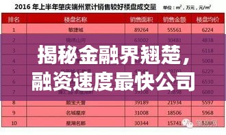 揭秘金融界翘楚，融资速度最快公司排名榜单重磅出炉！