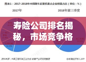 寿险公司排名揭秘，市场竞争格局与未来展望深度解析