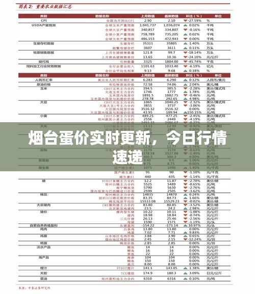 烟台蛋价实时更新，今日行情速递