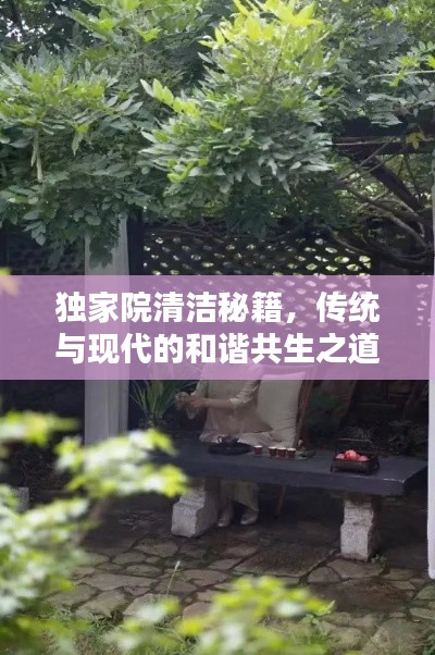 独家院清洁秘籍，传统与现代的和谐共生之道