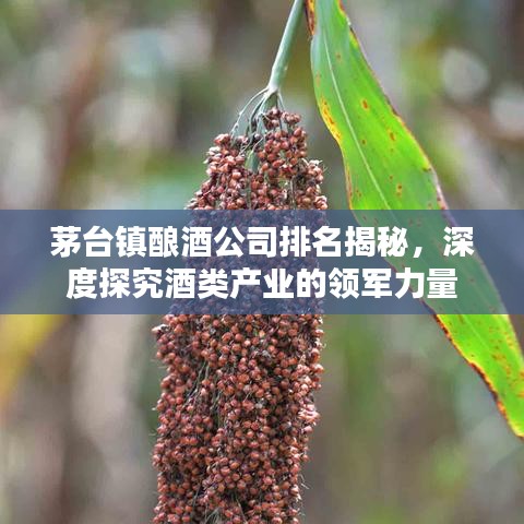 茅台镇酿酒公司排名揭秘，深度探究酒类产业的领军力量