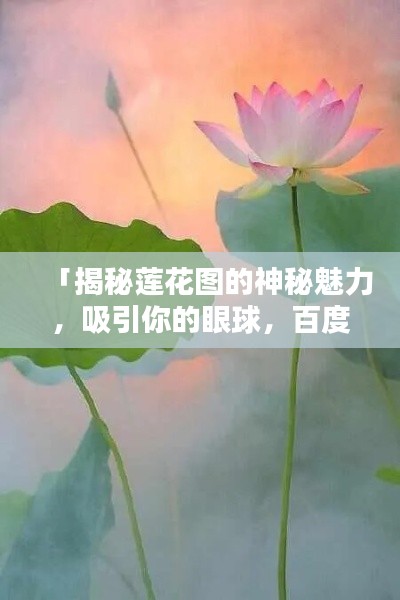 「揭秘莲花图的神秘魅力，吸引你的眼球，百度一搜便知！」