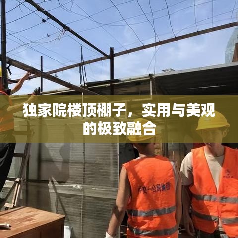 独家院楼顶棚子，实用与美观的极致融合