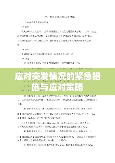 应对突发情况的紧急措施与应对策略