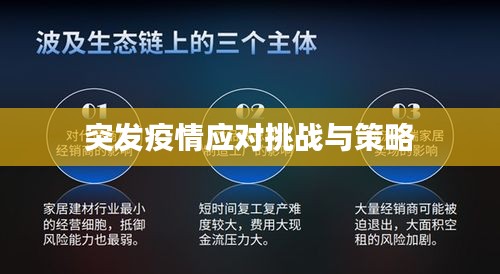 突发疫情应对挑战与策略