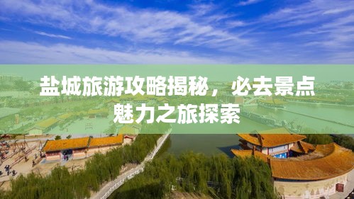 盐城旅游攻略揭秘，必去景点魅力之旅探索