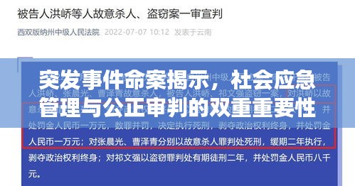 突发事件命案揭示，社会应急管理与公正审判的双重重要性