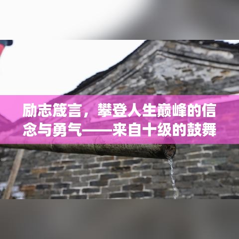 励志箴言，攀登人生巅峰的信念与勇气——来自十级的鼓舞