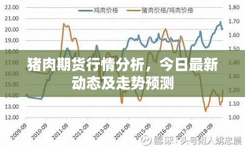 猪肉期货行情分析，今日最新动态及走势预测